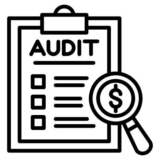 Audit Icon